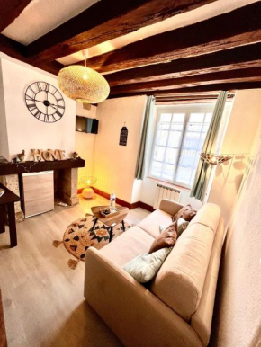 Cozy flat at 10 min walk from Blois Castle